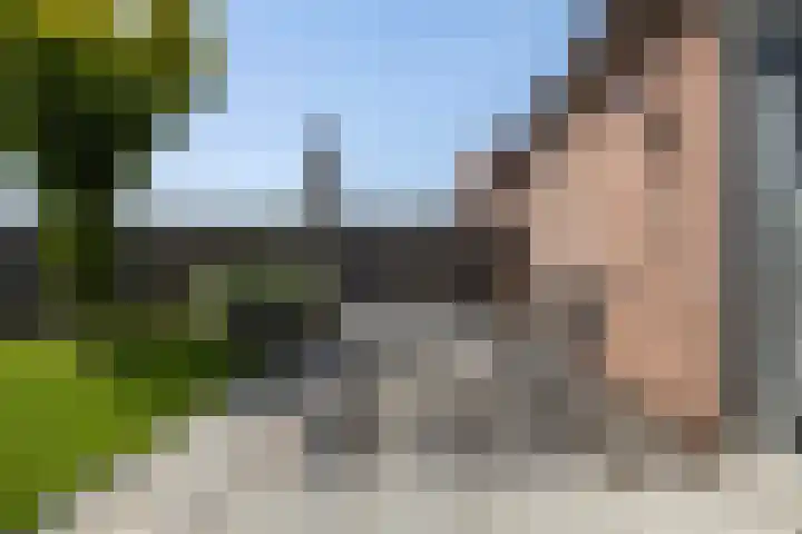 Idzerdastins 22 Leeuwarden thumbnail 21