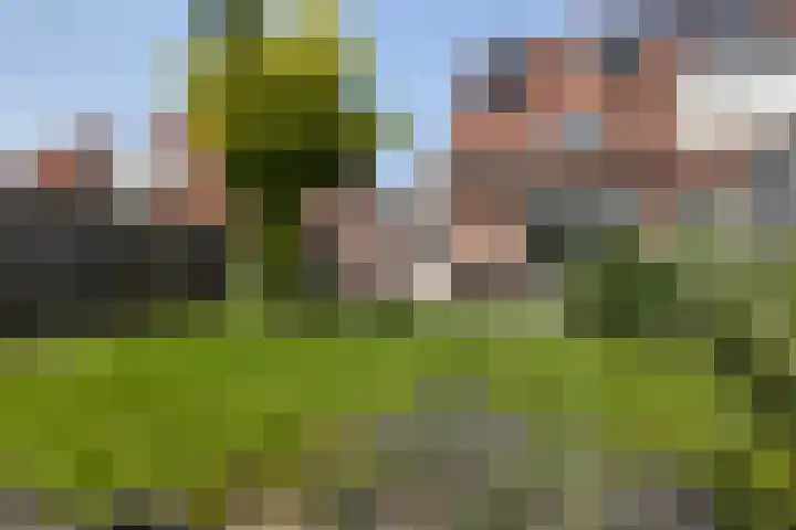 Idzerdastins 22 Leeuwarden thumbnail 24