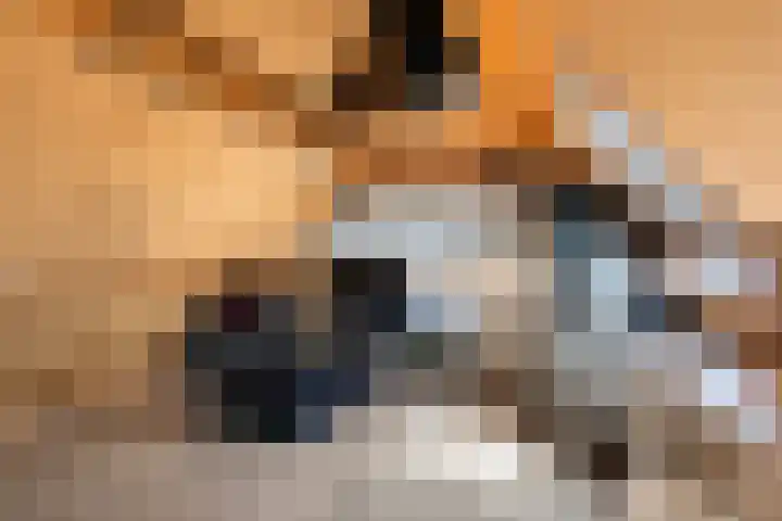 Idzerdastins 22 Leeuwarden thumbnail 34