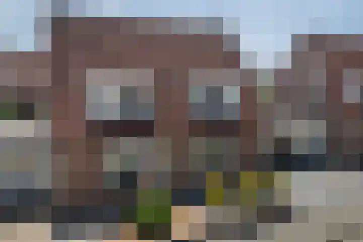 Idzerdastins 22 Leeuwarden thumbnail 37