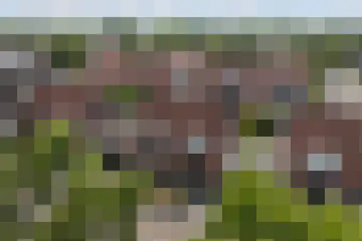 Idzerdastins 22 Leeuwarden thumbnail 38