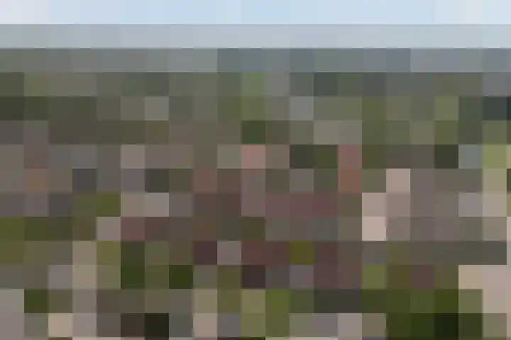 Idzerdastins 22 Leeuwarden thumbnail 39