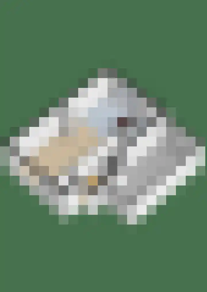 Idzerdastins 22 Leeuwarden thumbnail 43