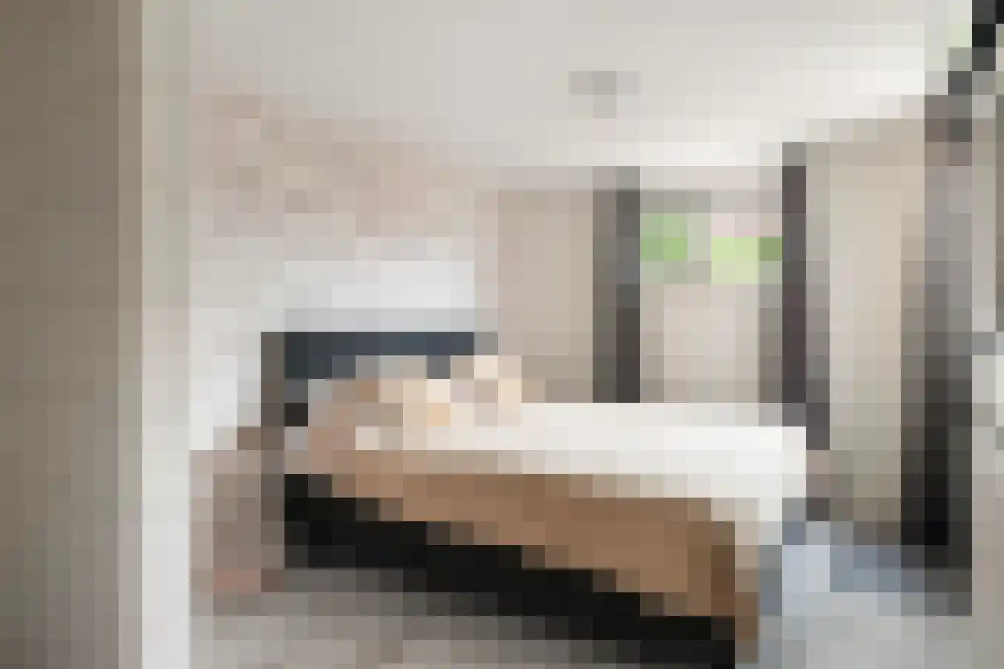 Idzerdastins 28 Leeuwarden thumbnail 21