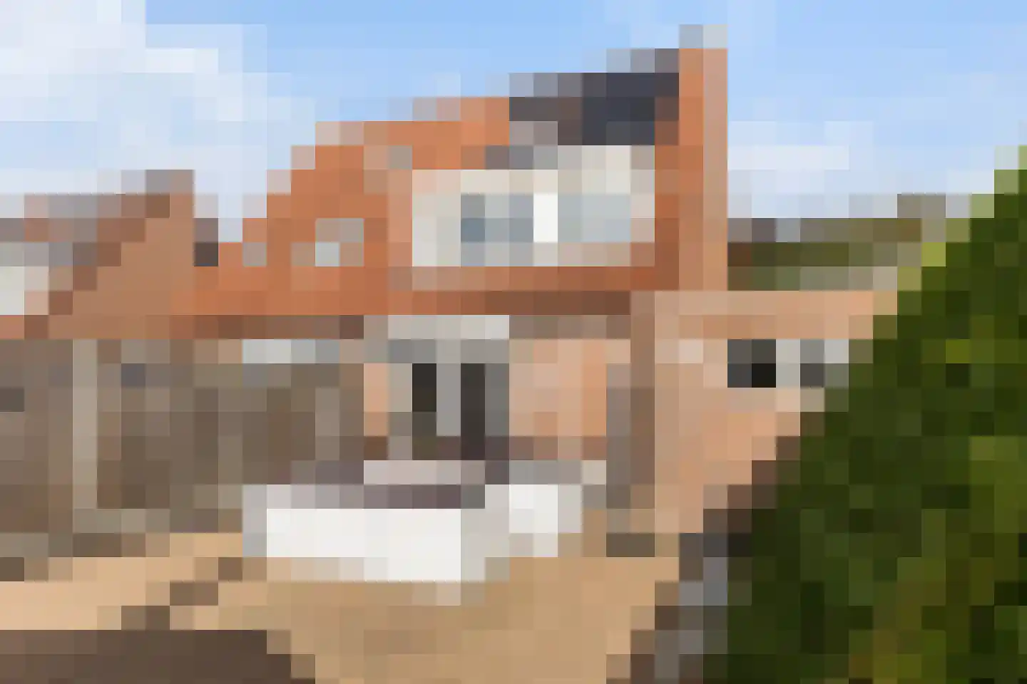 Idzerdastins 28 Leeuwarden thumbnail 4