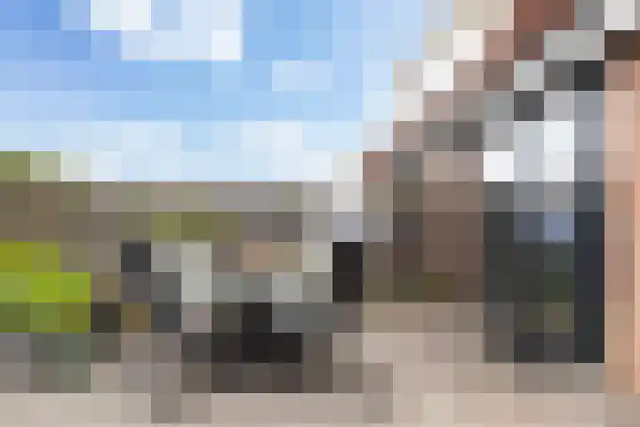 Idzerdastins 32 Leeuwarden thumbnail 13