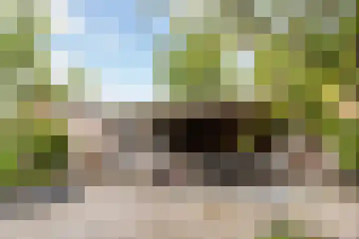 Idzerdastins 32 Leeuwarden thumbnail 18