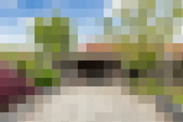 Idzerdastins 32 Leeuwarden thumbnail 19