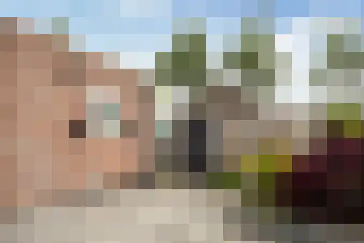 Idzerdastins 32 Leeuwarden thumbnail 21