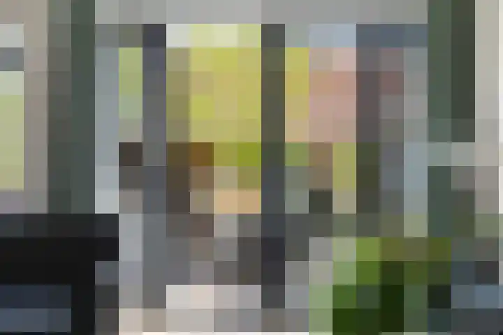 Idzerdastins 32 Leeuwarden thumbnail 25