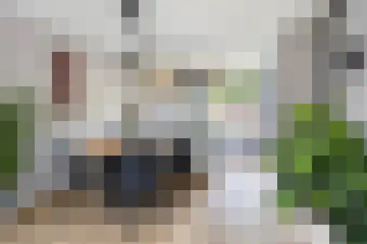 Idzerdastins 32 Leeuwarden thumbnail 28
