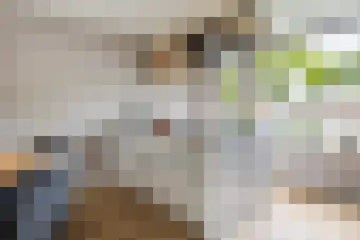 Idzerdastins 32 Leeuwarden thumbnail 31