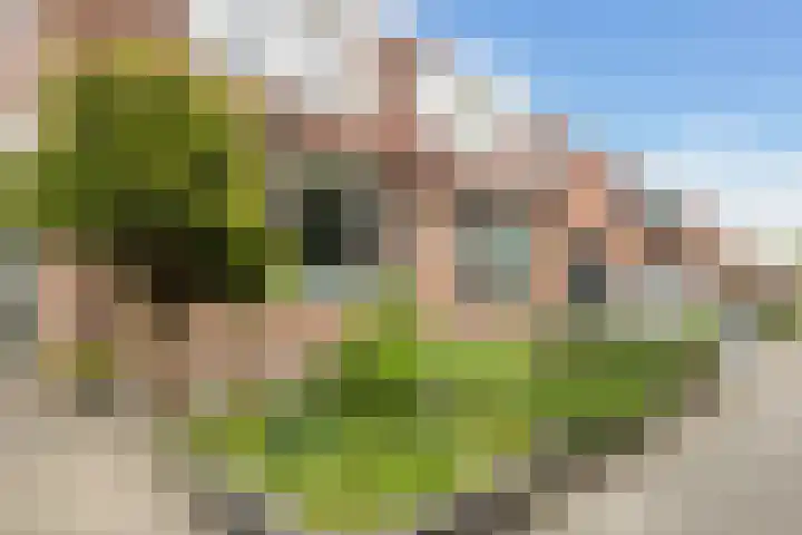 Idzerdastins 32 Leeuwarden thumbnail 9