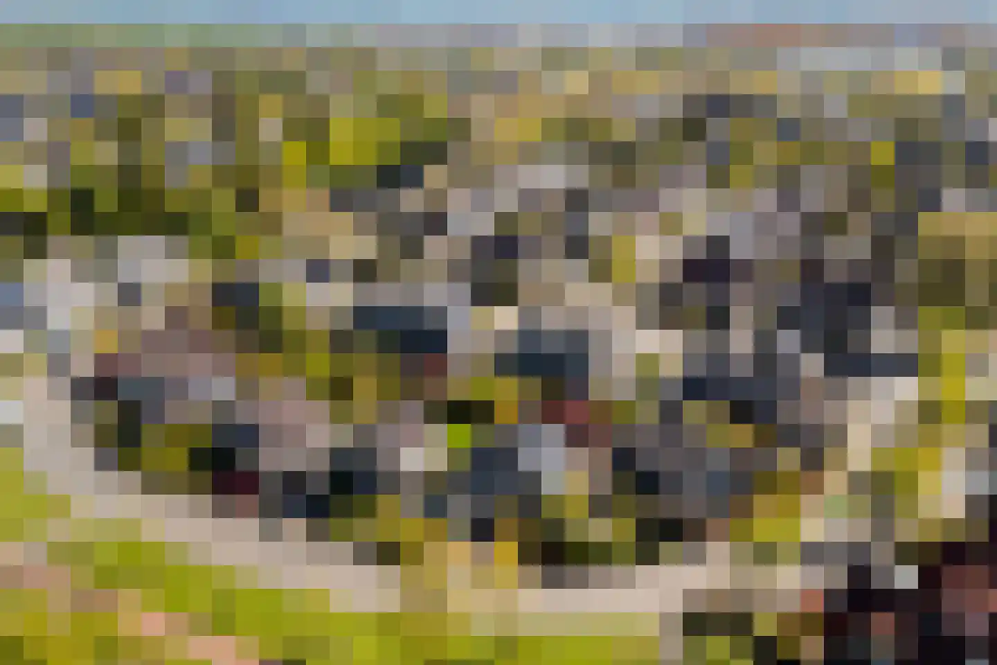Idzerdastins 67 Leeuwarden thumbnail 12