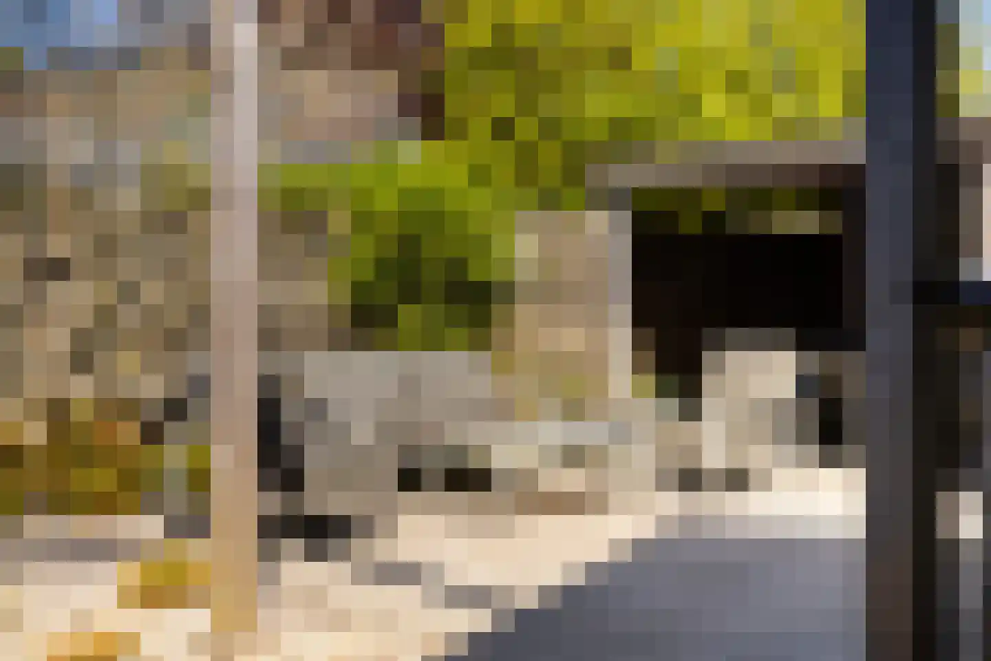 Idzerdastins 67 Leeuwarden thumbnail 6