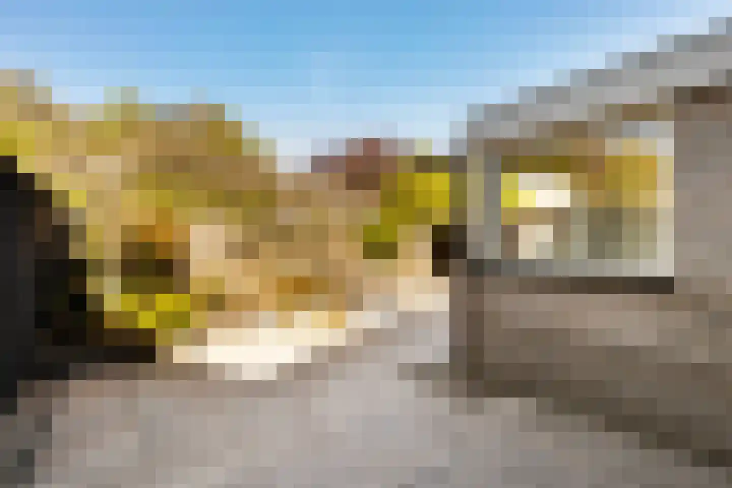 Idzerdastins 67 Leeuwarden thumbnail 7