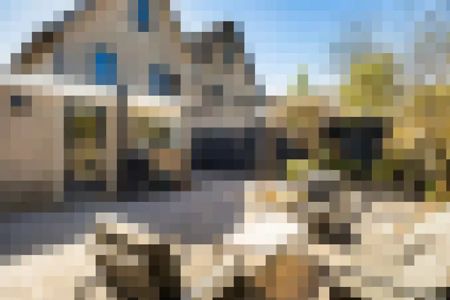 Idzerdastins 67 Leeuwarden thumbnail 8