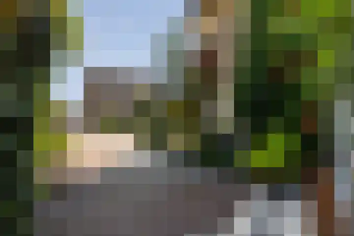 Idzerdastins 75 Leeuwarden thumbnail 10