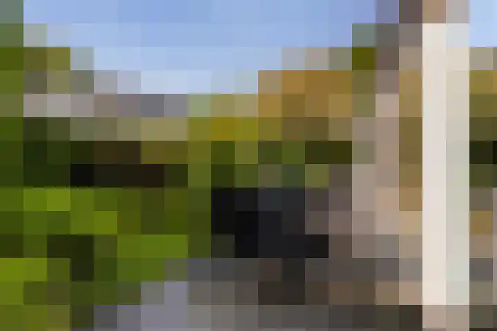 Idzerdastins 75 Leeuwarden thumbnail 11