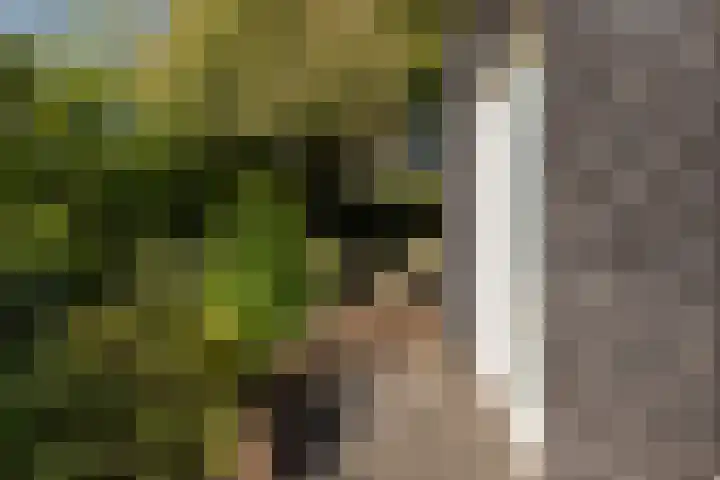 Idzerdastins 75 Leeuwarden thumbnail 12