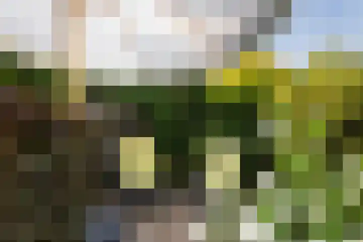 Idzerdastins 75 Leeuwarden thumbnail 15