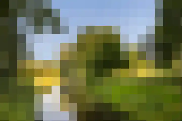 Idzerdastins 75 Leeuwarden thumbnail 16