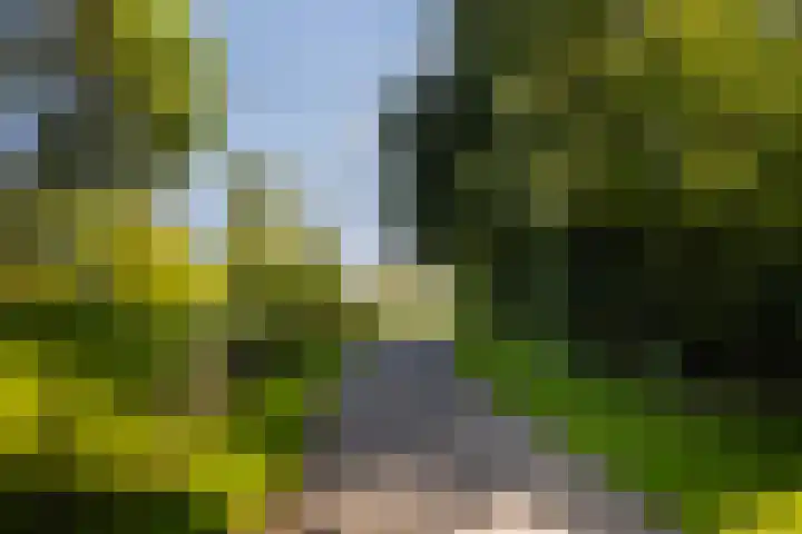 Idzerdastins 75 Leeuwarden thumbnail 17