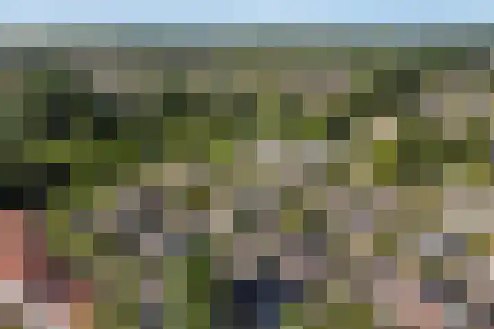 Idzerdastins 75 Leeuwarden thumbnail 18