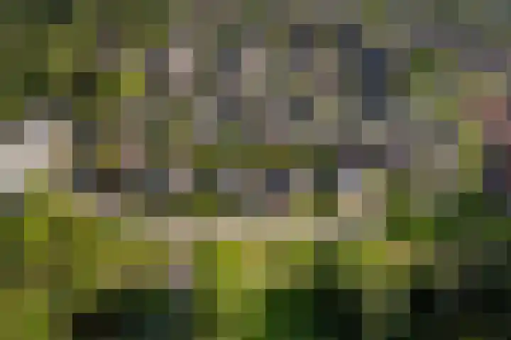 Idzerdastins 75 Leeuwarden thumbnail 19