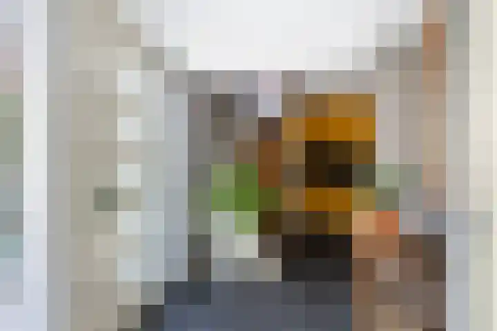Idzerdastins 75 Leeuwarden thumbnail 20