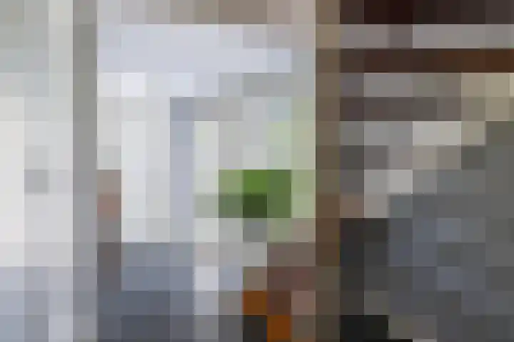 Idzerdastins 75 Leeuwarden thumbnail 21