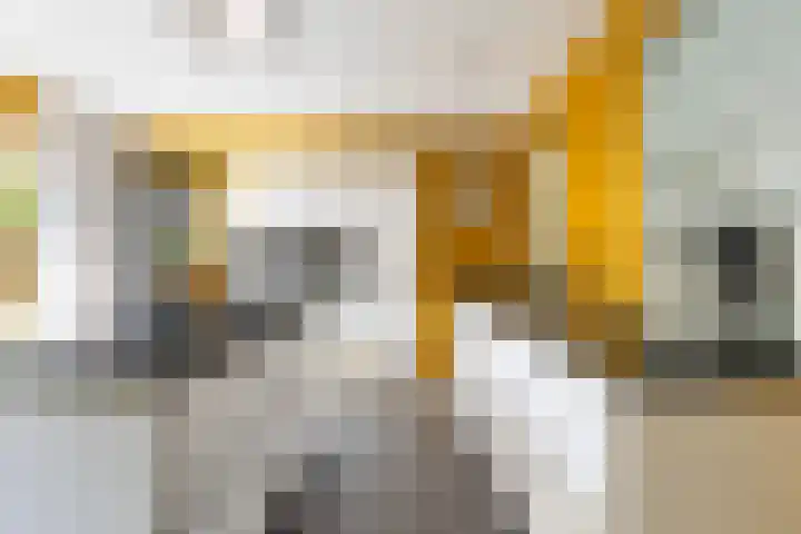 Idzerdastins 75 Leeuwarden thumbnail 24