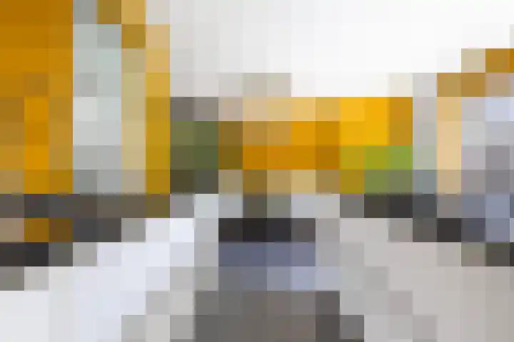 Idzerdastins 75 Leeuwarden thumbnail 26