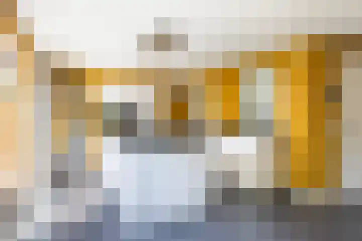 Idzerdastins 75 Leeuwarden thumbnail 27
