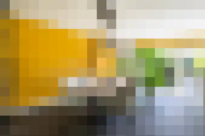 Idzerdastins 75 Leeuwarden thumbnail 28