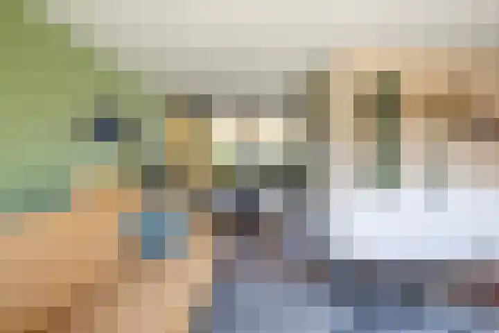 Idzerdastins 75 Leeuwarden thumbnail 29