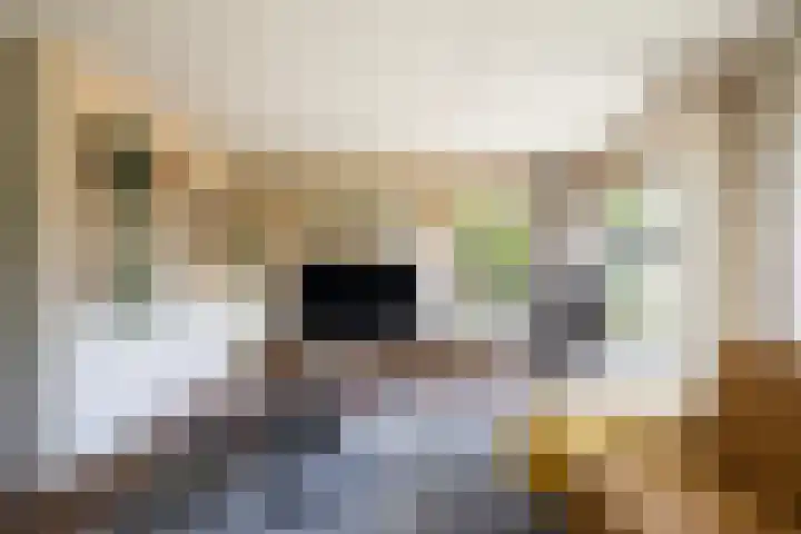 Idzerdastins 75 Leeuwarden thumbnail 31