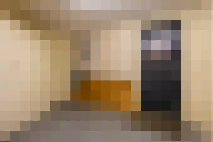 Idzerdastins 75 Leeuwarden thumbnail 38