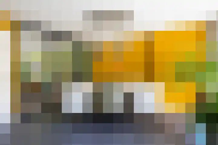 Idzerdastins 75 Leeuwarden thumbnail 4