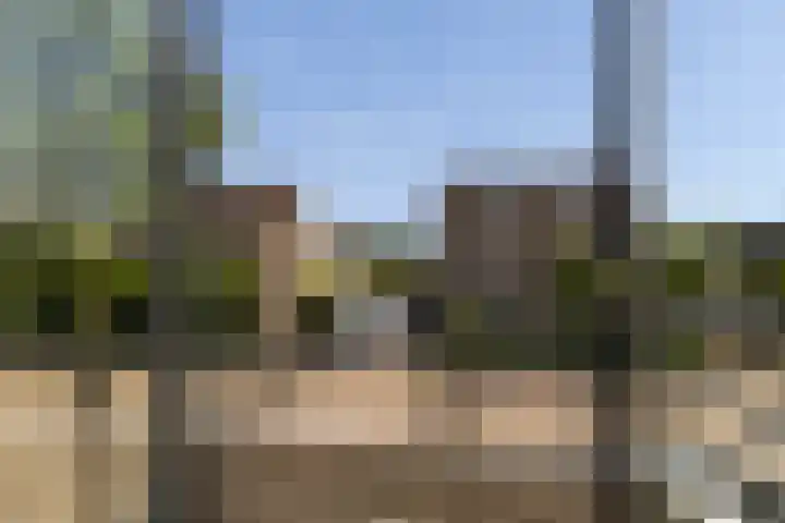 Idzerdastins 75 Leeuwarden thumbnail 45