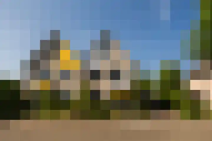 Idzerdastins 75 Leeuwarden thumbnail 7