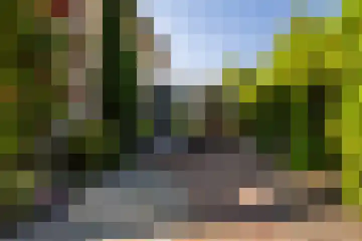 Idzerdastins 75 Leeuwarden thumbnail 8