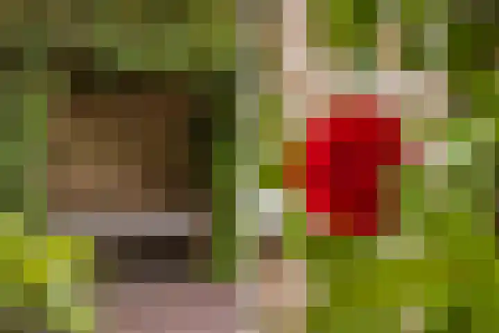 Idzerdastins 75 Leeuwarden thumbnail 9