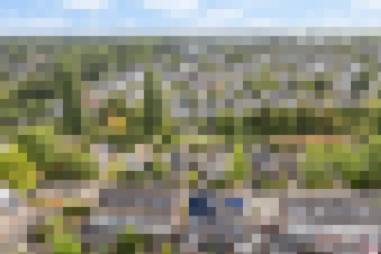 Idzerdastins 85 Leeuwarden thumbnail 10