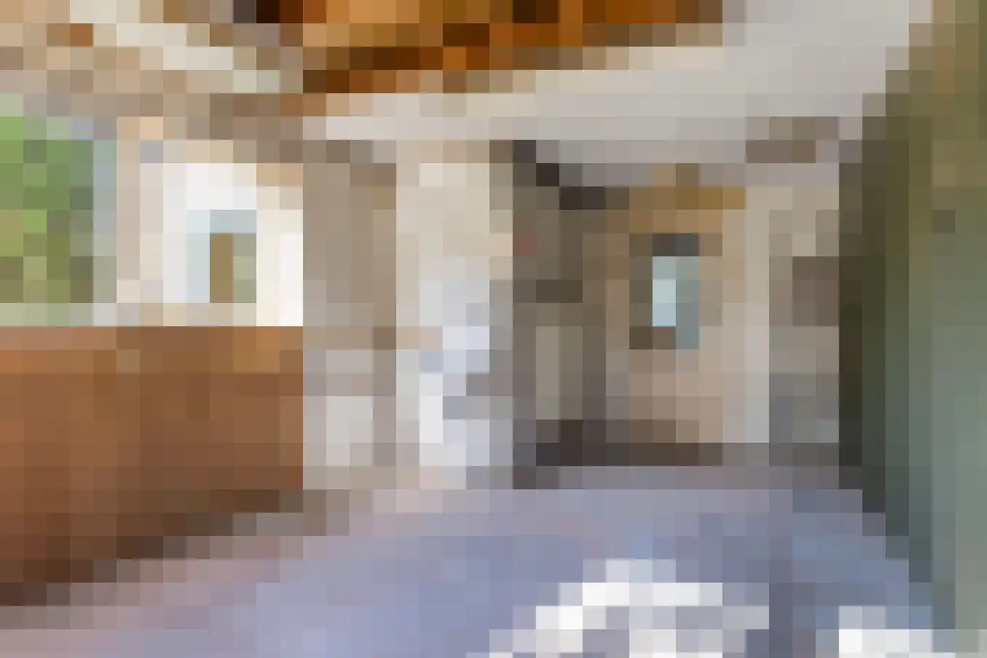 Idzerdastins 85 Leeuwarden thumbnail 26