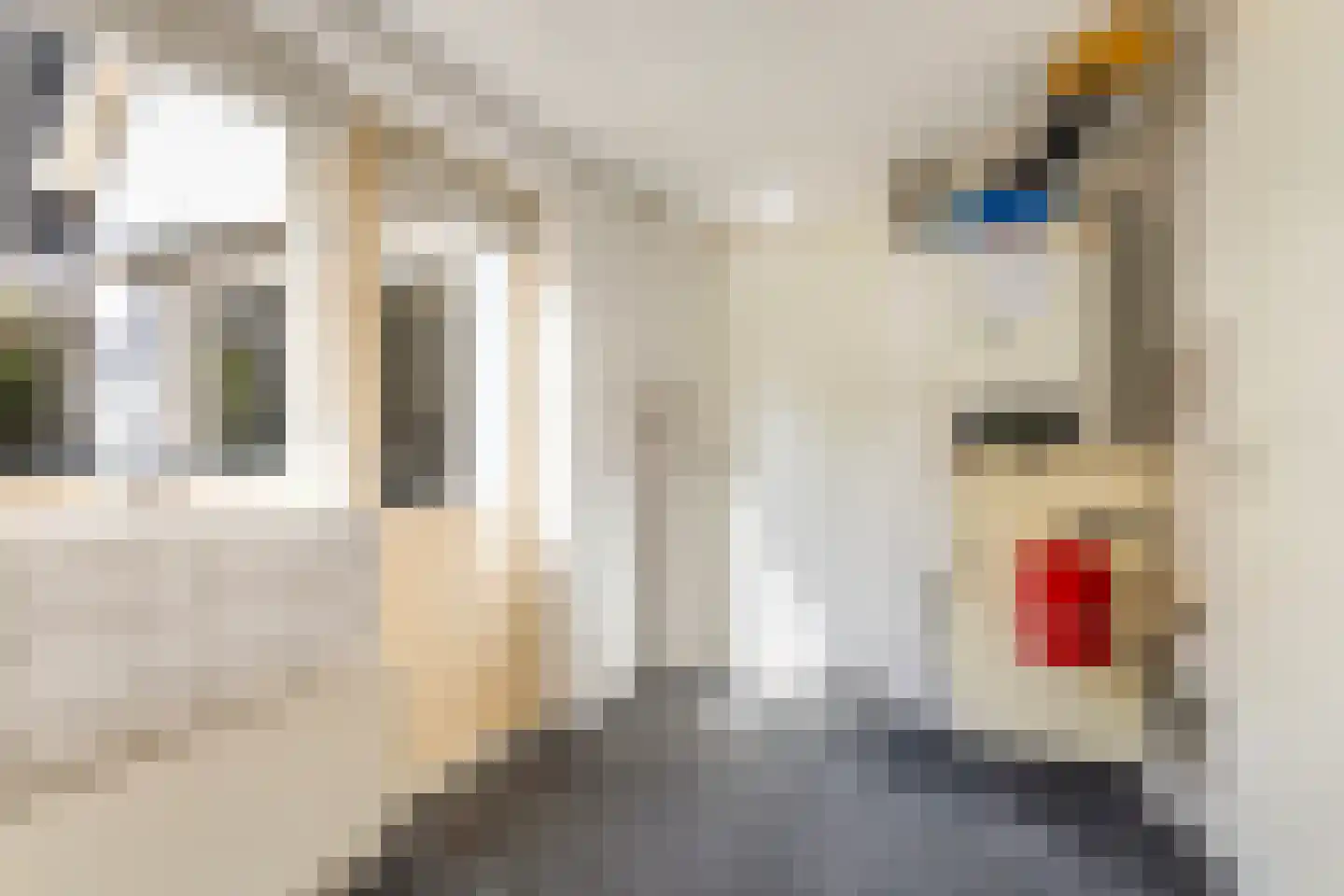Idzerdastins 85 Leeuwarden thumbnail 27