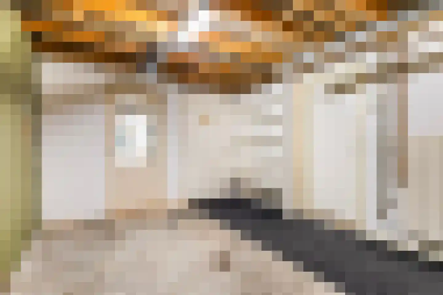 Idzerdastins 85 Leeuwarden thumbnail 31
