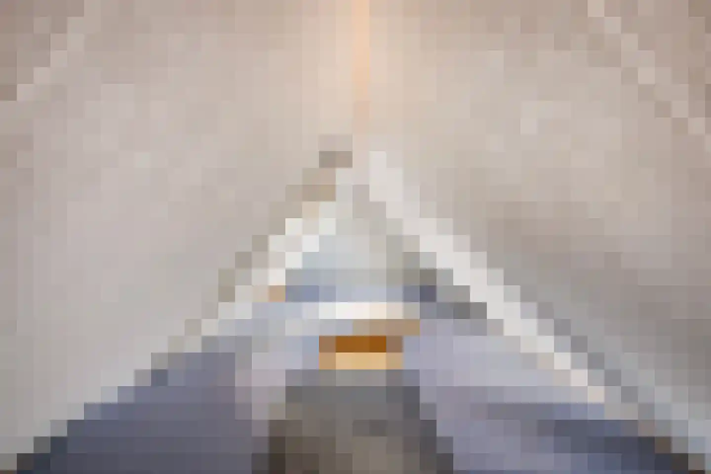 Idzerdastins 85 Leeuwarden thumbnail 42