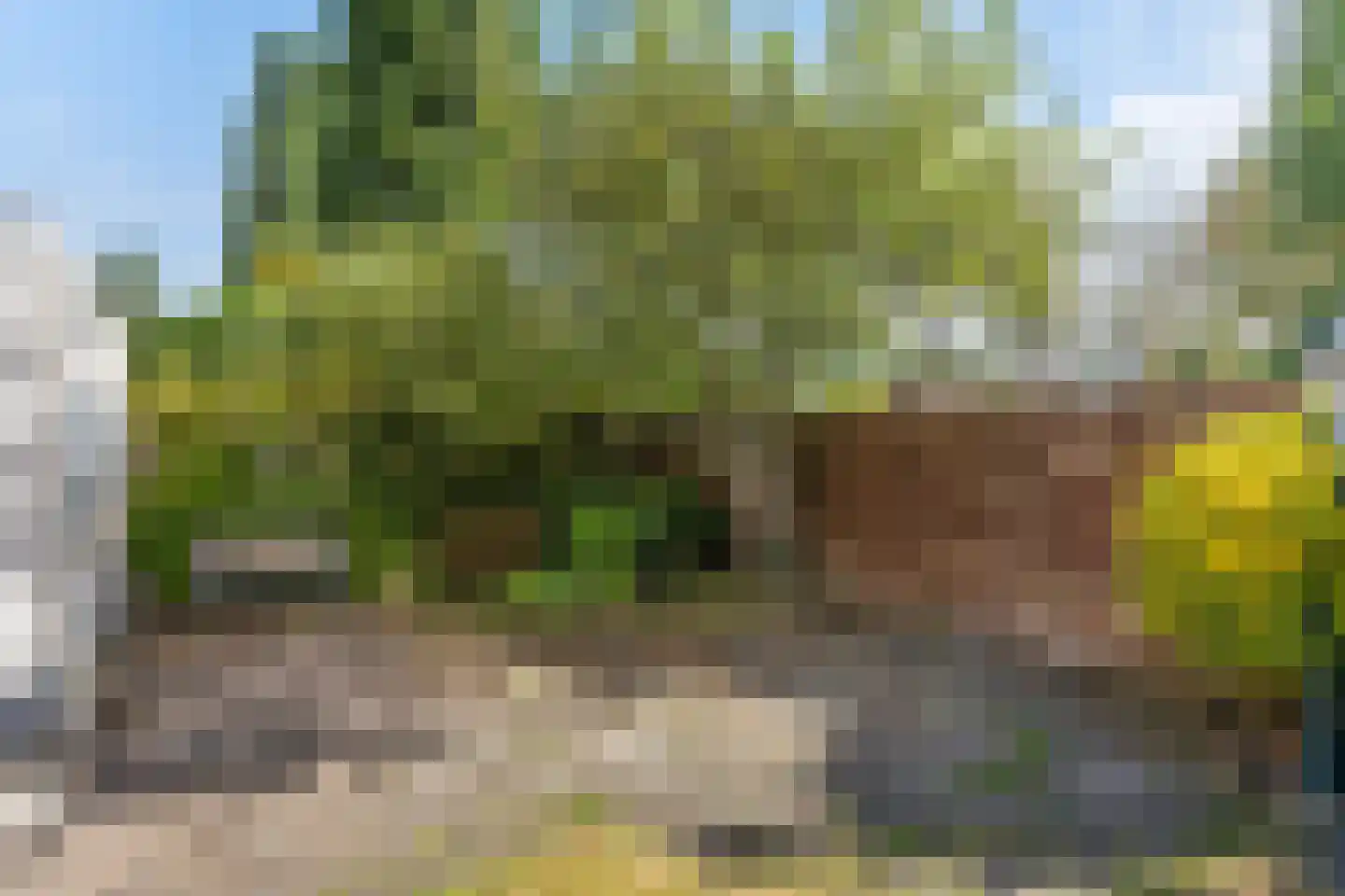 Idzerdastins 85 Leeuwarden thumbnail 9