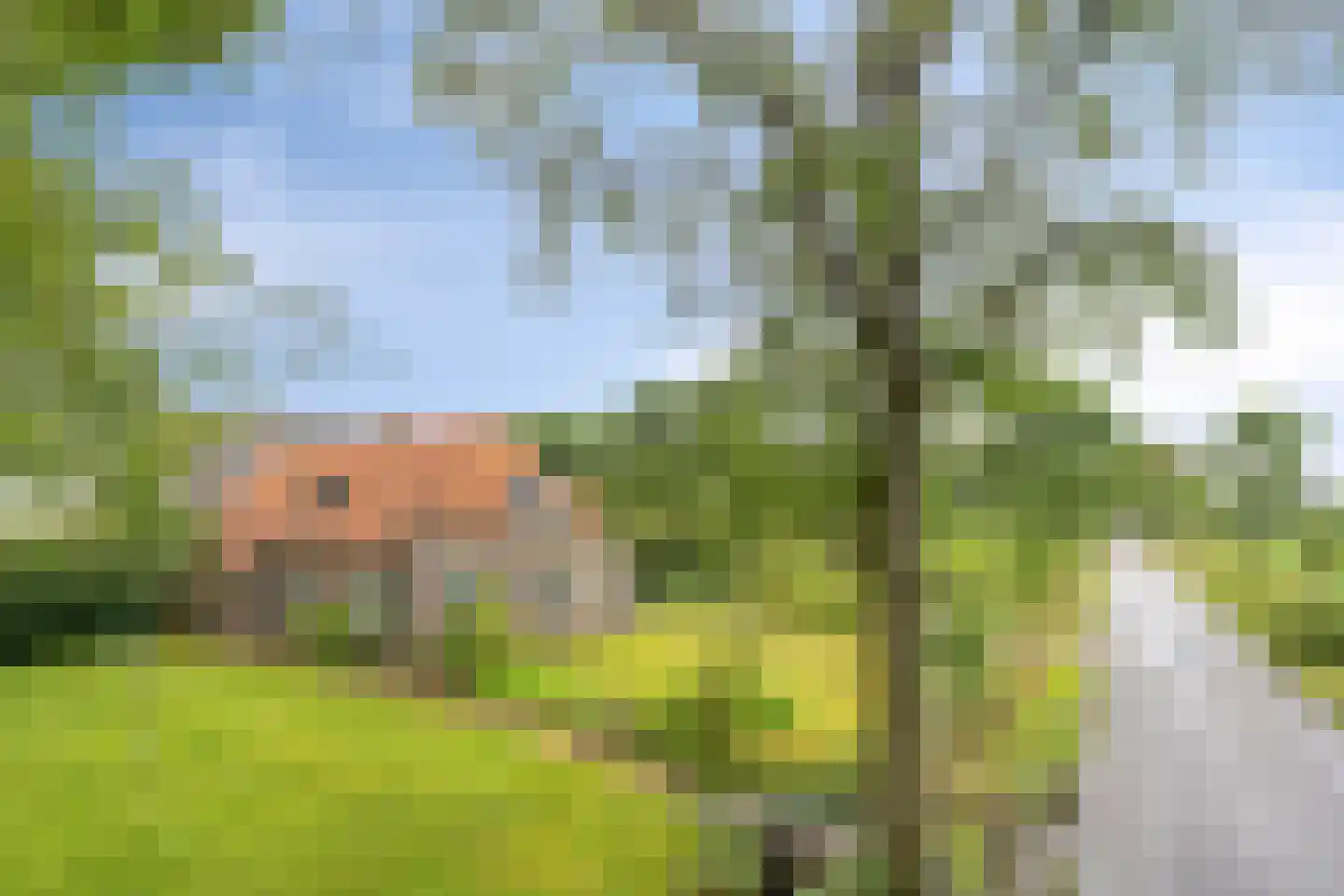 Iegepoeledijk 12 in Langedijke